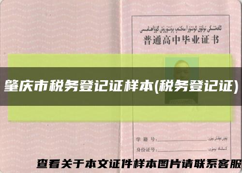 肇慶市稅務登記證樣本(稅務登記證)縮略圖