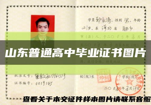 山東普通高中畢業證書圖片縮略圖