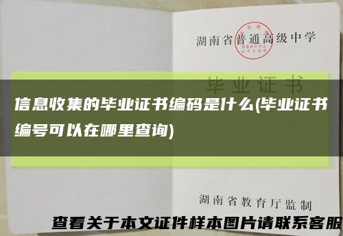 信息收集的畢業證書編碼是什么(畢業證書編號可以在哪里查詢)縮略圖