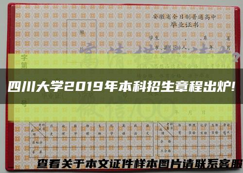 四川大學2019年本科招生章程出爐!縮略圖
