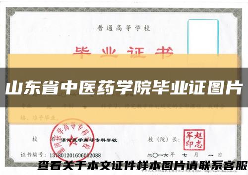 山東省中醫藥學院畢業證圖片縮略圖