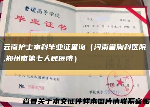 云南護士本科畢業證查詢（河南省胸科醫院,鄭州市第七人民醫院）縮略圖