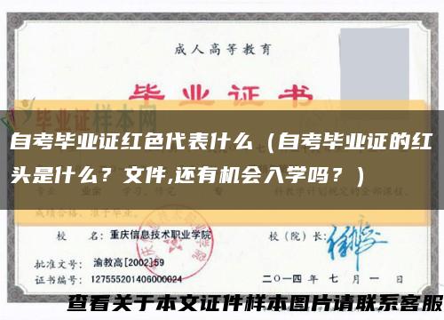自考畢業證紅色代表什么（自考畢業證的紅頭是什么？文件,還有機會入學嗎？）縮略圖