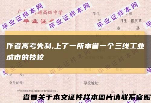 作者高考失利,上了一所本省一個三線工業城市的技?？s略圖