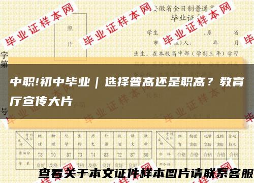 中職!初中畢業｜選擇普高還是職高？教育廳宣傳大片縮略圖