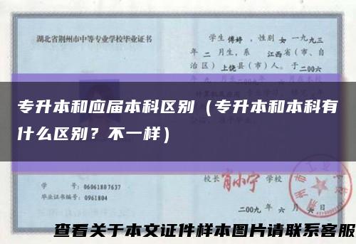 專升本和應屆本科區別（專升本和本科有什么區別？不一樣）縮略圖