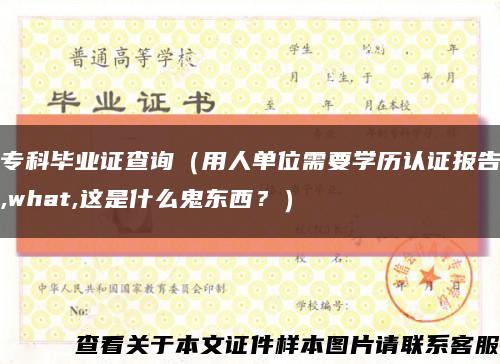 ?？飘厴I證查詢（用人單位需要學歷認證報告,what,這是什么鬼東西？）縮略圖