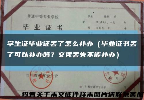 學生證畢業證丟了怎么補辦（畢業證書丟了可以補辦嗎？文憑丟失不能補辦）縮略圖