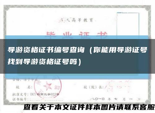 導游資格證書編號查詢（你能用導游證號找到導游資格證號嗎）縮略圖