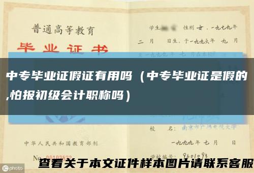 中專畢業證假證有用嗎（中專畢業證是假的,怕報初級會計職稱嗎）縮略圖