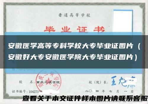 安徽醫學高等?？茖W校大專畢業證圖片（安徽好大專安徽醫學院大專畢業證圖片）縮略圖