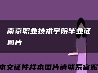 南京職業技術學院畢業證圖片縮略圖
