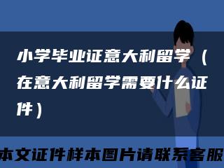 小學畢業證意大利留學（在意大利留學需要什么證件）縮略圖
