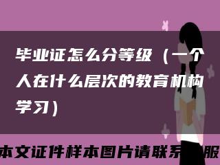 畢業證怎么分等級（一個人在什么層次的教育機構學習）縮略圖