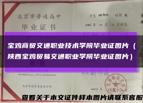 寶雞商貿交通職業技術學院畢業證圖片（陜西寶雞貿易交通職業學院畢業證圖片）縮略圖