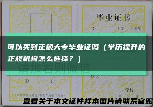 可以買到正規大專畢業證嗎（學歷提升的正規機構怎么選擇？）縮略圖