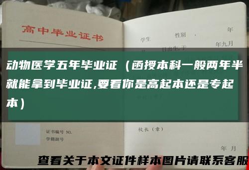動物醫學五年畢業證（函授本科一般兩年半就能拿到畢業證,要看你是高起本還是專起本）縮略圖