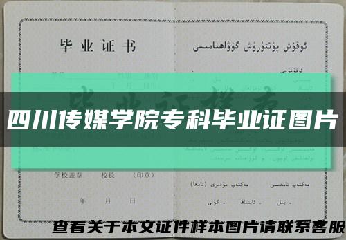 四川傳媒學院?？飘厴I證圖片縮略圖