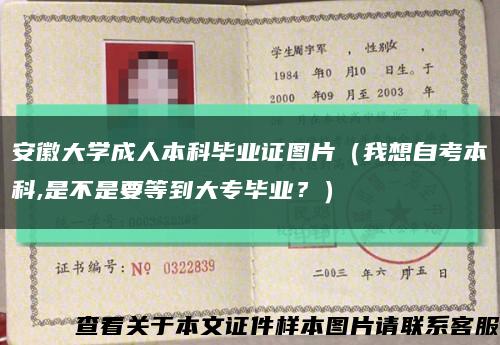 安徽大學成人本科畢業證圖片（我想自考本科,是不是要等到大專畢業？）縮略圖
