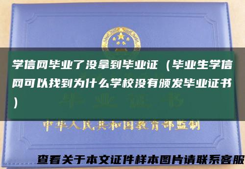 學信網畢業了沒拿到畢業證（畢業生學信網可以找到為什么學校沒有頒發畢業證書）縮略圖