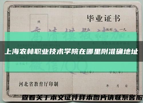 上海農林職業技術學院在哪里附準確地址縮略圖
