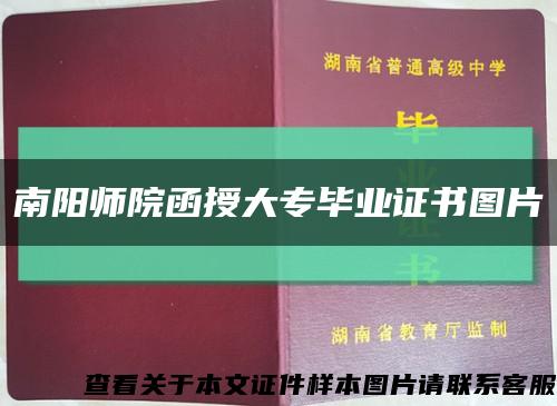 南陽師院函授大專畢業證書圖片縮略圖