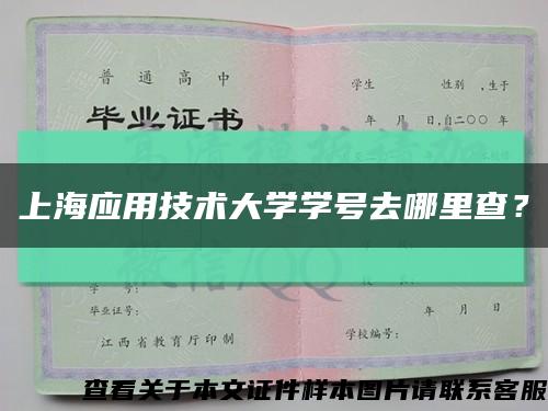 上海應用技術大學學號去哪里查？縮略圖