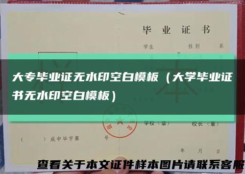 大專畢業證無水印空白模板（大學畢業證書無水印空白模板）縮略圖