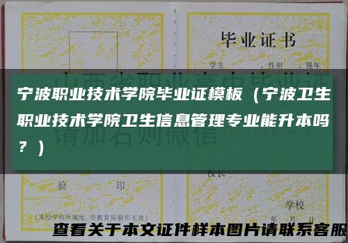 寧波職業技術學院畢業證模板（寧波衛生職業技術學院衛生信息管理專業能升本嗎？）縮略圖