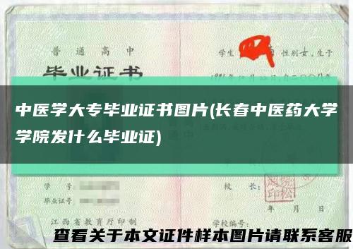 中醫學大專畢業證書圖片(長春中醫藥大學學院發什么畢業證)縮略圖