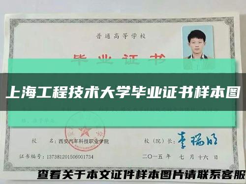 上海工程技術大學畢業證書樣本圖縮略圖
