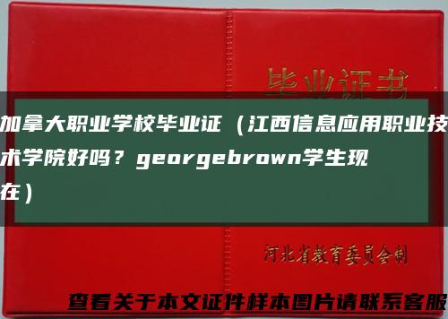 加拿大職業學校畢業證（江西信息應用職業技術學院好嗎？georgebrown學生現在）縮略圖