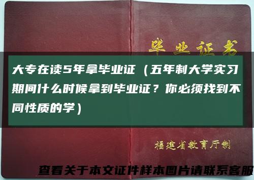 大專在讀5年拿畢業證（五年制大學實習期間什么時候拿到畢業證？你必須找到不同性質的學）縮略圖