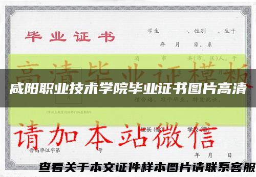 咸陽職業技術學院畢業證書圖片高清縮略圖