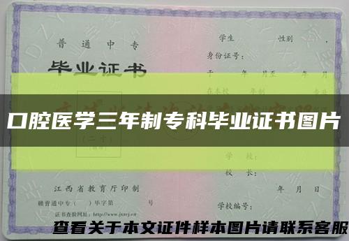 口腔醫學三年制?？飘厴I證書圖片縮略圖