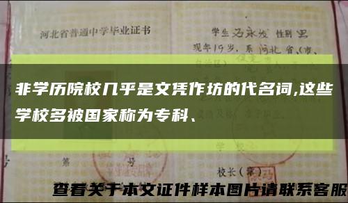 非學歷院校幾乎是文憑作坊的代名詞,這些學校多被國家稱為?？?、縮略圖