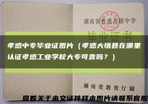 孝感中專畢業證圖片（孝感大悟縣在哪里認證孝感工業學校大?？煽繂?？）縮略圖
