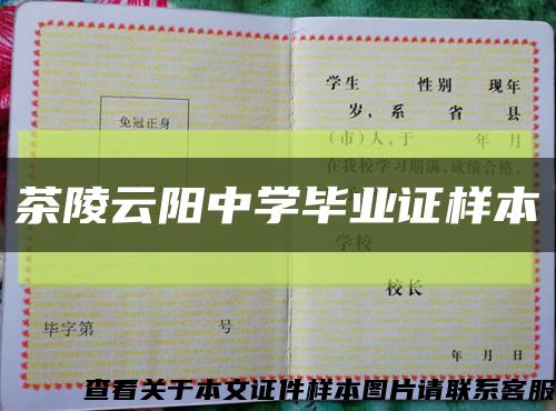 茶陵云陽中學畢業證樣本縮略圖