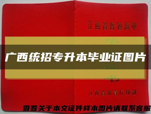 廣西統招專升本畢業證圖片縮略圖