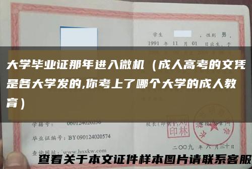 大學畢業證那年進入微機（成人高考的文憑是各大學發的,你考上了哪個大學的成人教育）縮略圖