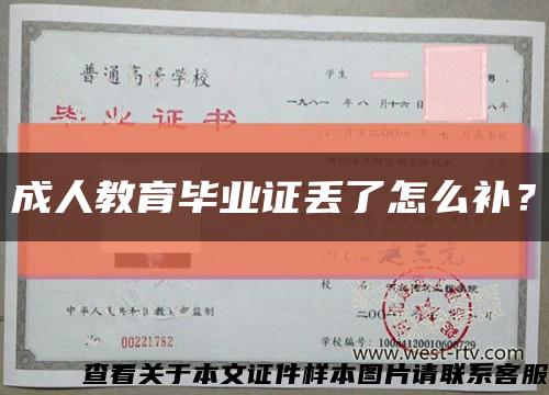 成人教育畢業證丟了怎么補？縮略圖