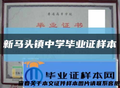 新馬頭鎮中學畢業證樣本縮略圖