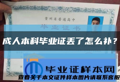成人本科畢業證丟了怎么補？縮略圖
