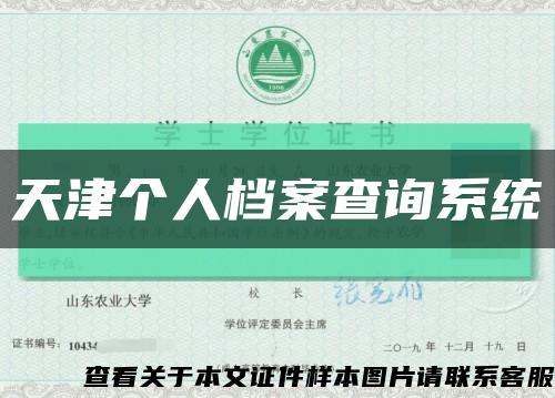 天津個人檔案查詢系統縮略圖