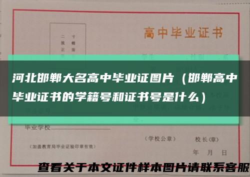 河北邯鄲大名高中畢業證圖片（邯鄲高中畢業證書的學籍號和證書號是什么）縮略圖