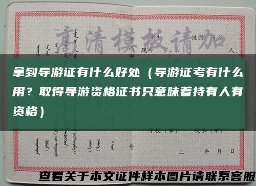 拿到導游證有什么好處（導游證考有什么用？取得導游資格證書只意味著持有人有資格）縮略圖