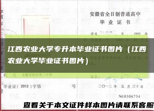 江西農業大學專升本畢業證書圖片（江西農業大學畢業證書圖片）縮略圖