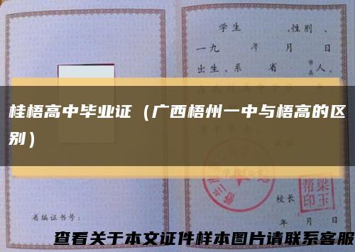 桂梧高中畢業證（廣西梧州一中與梧高的區別）縮略圖