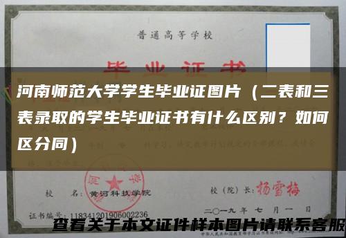 河南師范大學學生畢業證圖片（二表和三表錄取的學生畢業證書有什么區別？如何區分同）縮略圖