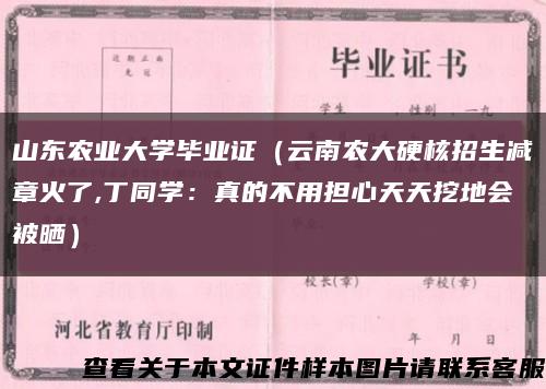 山東農業大學畢業證（云南農大硬核招生減章火了,丁同學：真的不用擔心天天挖地會被曬）縮略圖